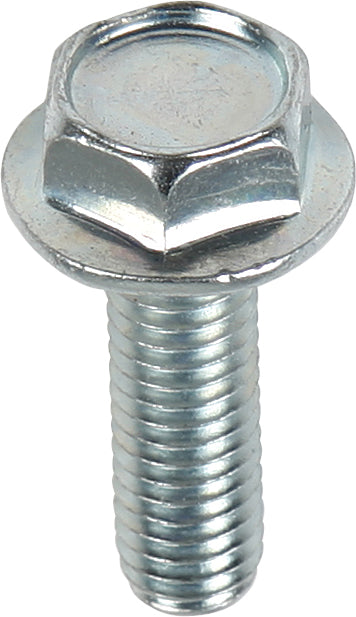 Bolt 10mm Hex Head Flange Bolts 6x1.0x16mm 10/pk - Tires & Wheels