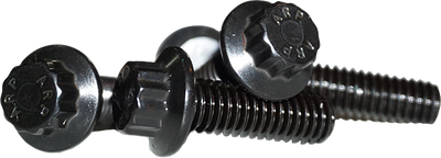LYNDALL BRAKES 12 Point Rear Rotor Bolts Black 3/8 16x1