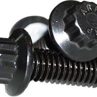 Lyndall Brakes 12 Point Rear Rotor Bolts Black 3/8-16x1