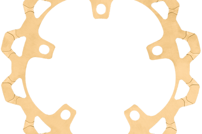 Lyndall Brakes 320mm Perimeter Rotor Gold `24 Flh/flt (non Cvo)