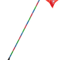 Boss Audio 6’ Led Whip W/ Blue Tooth - Atv Performance Products