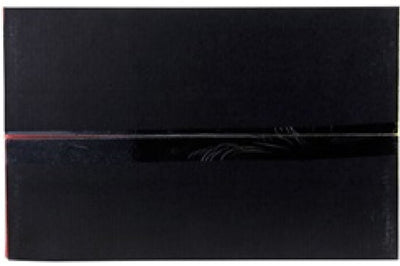 AEM Induction C.A.S. 06-13 Lexus IS250 V6-2.5L F/I Cold Air Intake System - Systems