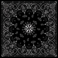 Zan Bandanna Black Paisley - Harddrive Products
