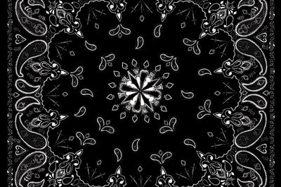 Zan Bandanna Black Paisley - Harddrive Products