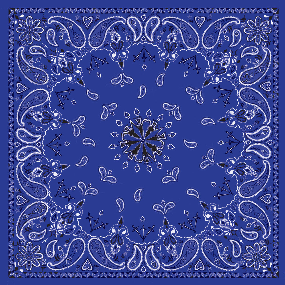 Zan Bandanna Navy Paisley - Harddrive Products