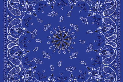 Zan Bandanna Navy Paisley - Harddrive Products