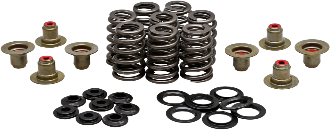 KPMI Beehive Valve Spring Kit.550 Lift M8`17 24 Non Vvt