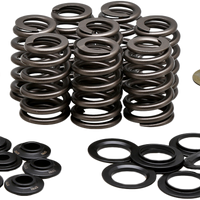 KPMI Beehive Valve Spring Kit.550 Lift M8`17 24 Non Vvt