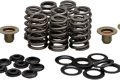 KPMI Beehive Valve Spring Kit.550 Lift M8`17 24 Non Vvt