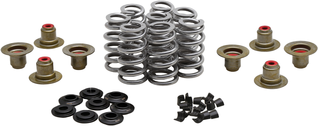 KPMI Beehive Valve Spring Kit.640 Lift M8`17 24 Non Vvt