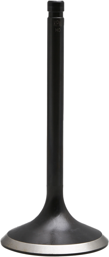 KPMI Black Diamond O/S Int. Valve Evo/Twin Cam `84 04