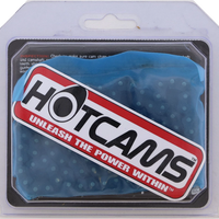 Hot Cams Cam Chain