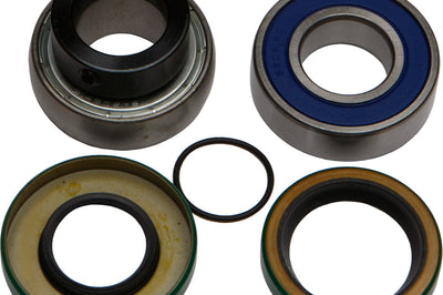 All Balls Chain Case Bearing & Seal Kit - Snowmobile Collection