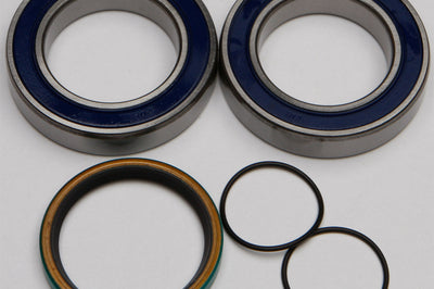 All Balls Chain Case Bearing & Seal Kit - Snowmobile Collection