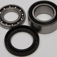 All Balls Chain Case Bearing & Seal Kit - Snowmobile Collection