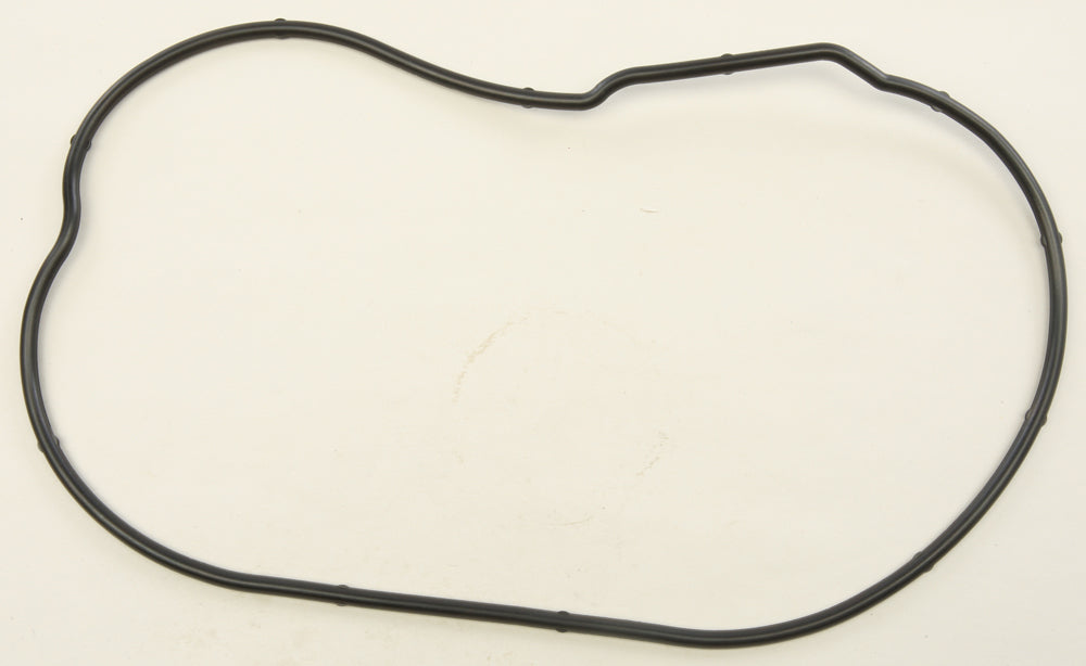 Sp1 Chaincase Gasket Pol - Snowmobile Collection