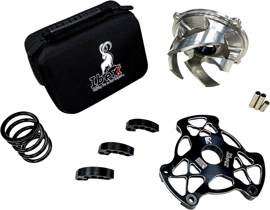 Ibexx Clutch Kit Axys 850 Stage 2+ - Snowmobile Collection
