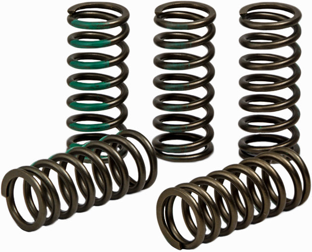 Pro Circuit Clutch Spring Kaw