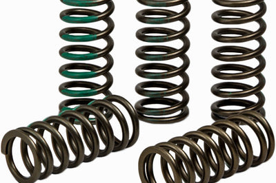 Pro Circuit Clutch Spring Kaw