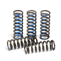 Pro Circuit Clutch Springs - Offroad Collection