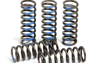 Pro Circuit Clutch Springs - Offroad Collection