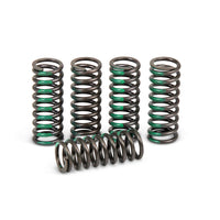 Pro Circuit Clutch Springs - Offroad Collection