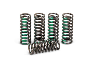Pro Circuit Clutch Springs - Offroad Collection
