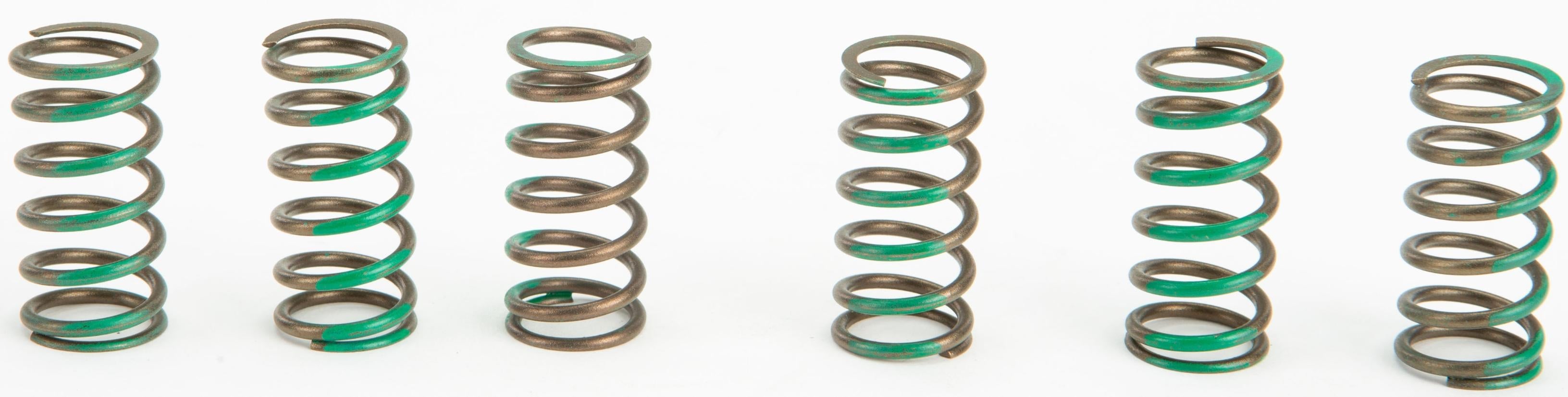 Pro Circuit Clutch Springs - Offroad Collection