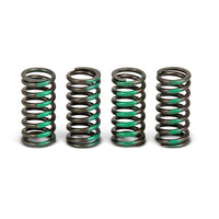 Pro Circuit Clutch Springs - Offroad Collection