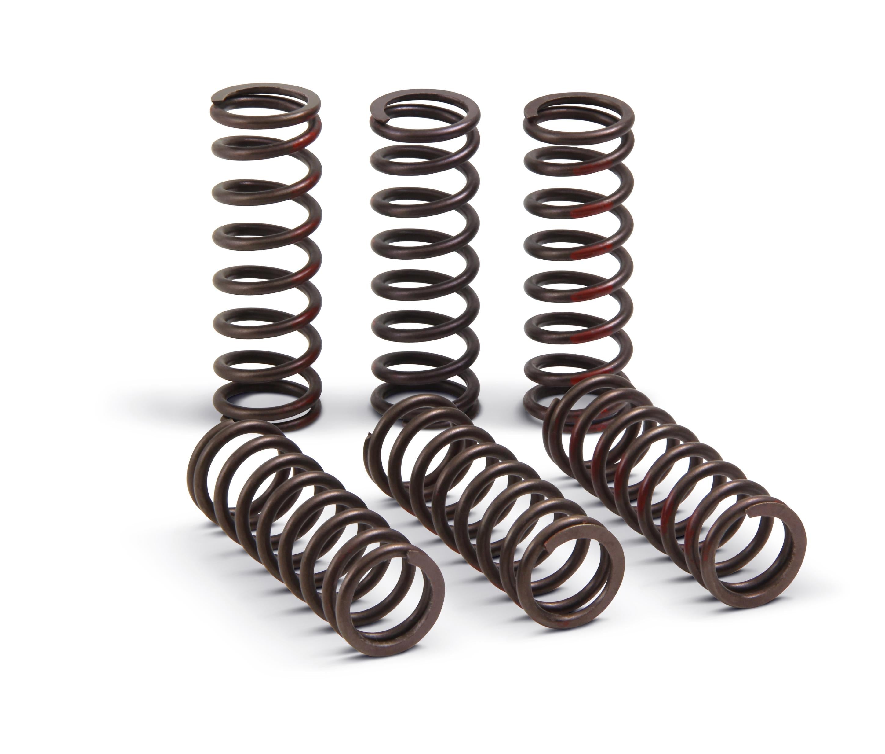 Pro Circuit Clutch Springs - Offroad Collection