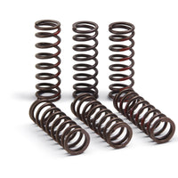 Pro Circuit Clutch Springs - Offroad Collection
