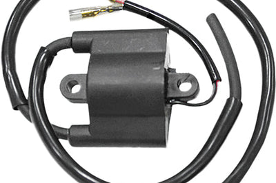 Sp1 Coil External - Snowmobile Collection