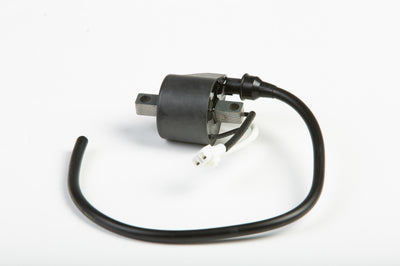 Sp1 Coil External - Snowmobile Collection