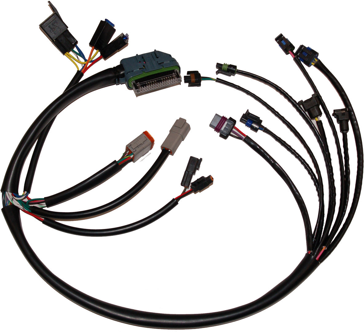 Namz Custom Cycle Complete Efi Harness 02-03 - Harddrive Products