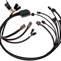 Namz Custom Cycle Complete Efi Harness 02-03 - Harddrive Products