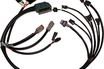 Namz Custom Cycle Complete Efi Harness 02-03 - Harddrive Products