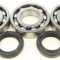 All Balls Crankshaft Bearing/seal Kit - Atv Performance Products