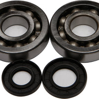 All Balls Crankshaft Bearing/seal Kit - Offroad Collection