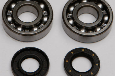 All Balls Crankshaft Bearing/seal Kit - Offroad Collection