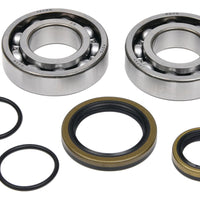 All Balls Crankshaft Bearing/seal Kit - Offroad Collection