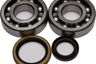 All Balls Crankshaft Bearing/seal Kit - Offroad Collection
