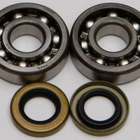 All Balls Crankshaft Bearing/seal Kit - Offroad Collection