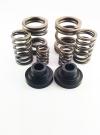 DDP Dodge 94-98 P-Pump 3000 & 4000 RPM Governor Spring Kit - Fuel Delivery