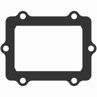 Moto Tassinari Delta S/m Reed Gskt Pol - Snowmobile Collection