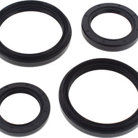 All Balls Differential Seal Kit - Atv Performance Products
