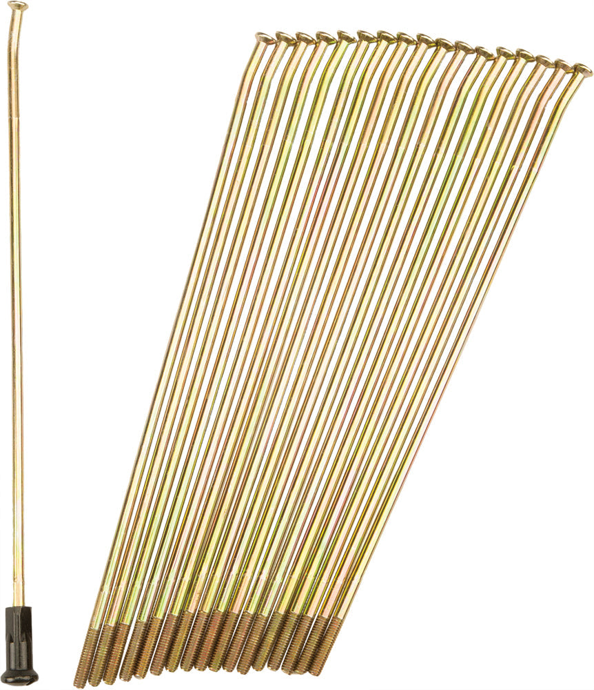 Pro-wheel Double Butted Spokes Gold/black Rear 19’’ 36/pk - Gold/Black - Tires & Wheels