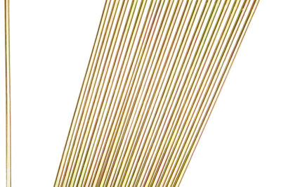 Pro-wheel Double Butted Spokes Gold/black Rear 19’’ 36/pk - Gold/Black - Tires & Wheels