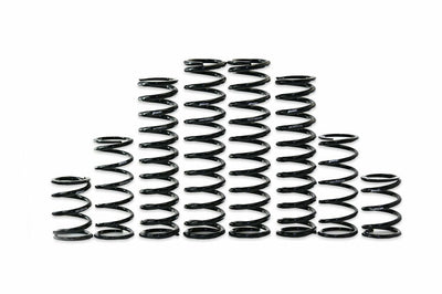 Zbroz Dual Rate Spring Kit Kaw - Atv Performance Products