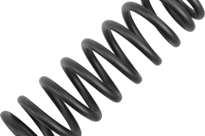 Racing Brothers Dyna Mono/-r/hlr Std Spring 200mm/40.35 X 117 - Harddrive Products