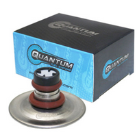 Quantum Efi Fuel Pressure Regulator - Snowmobile Collection